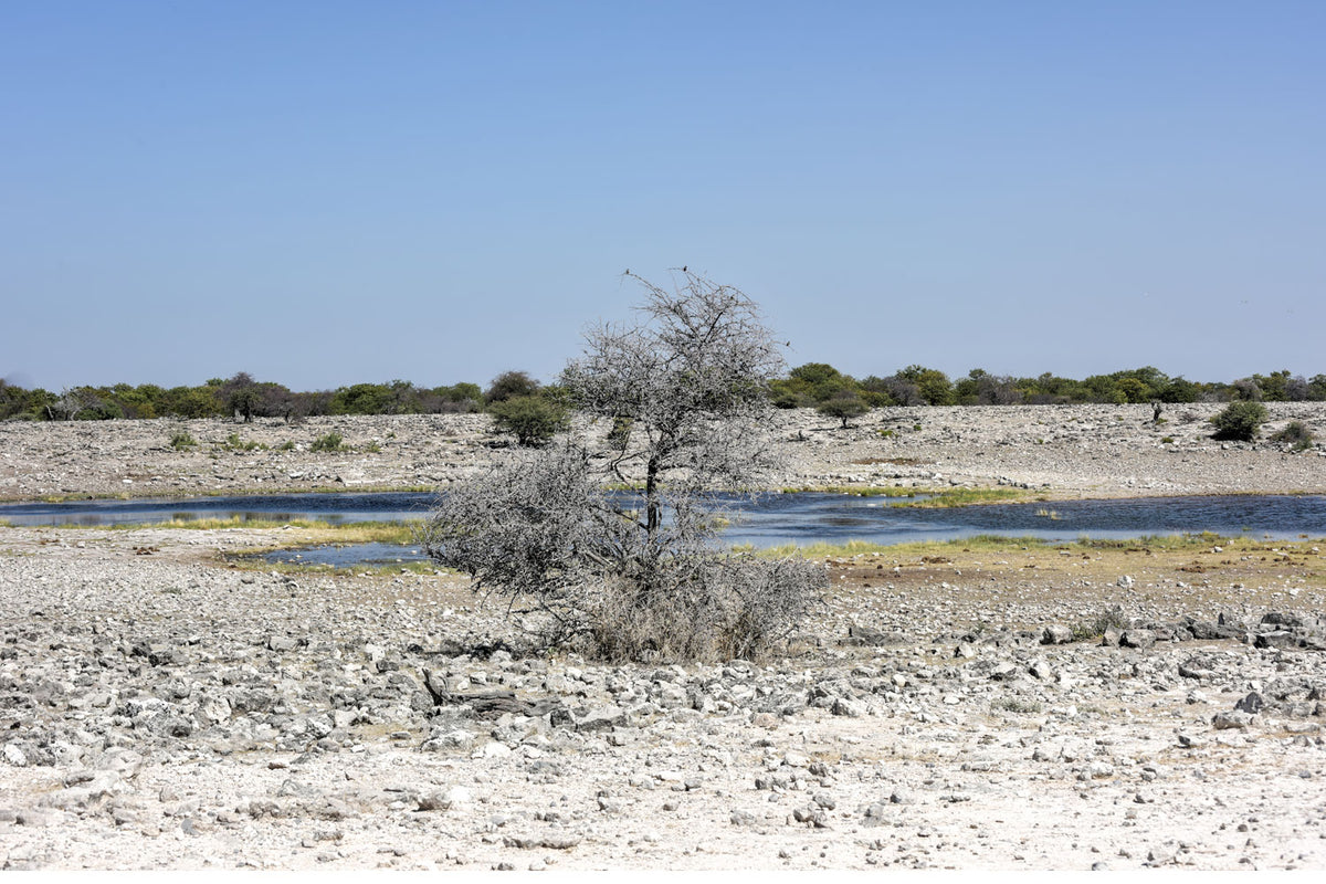 Kalahari Wüstensalz grobkörnig