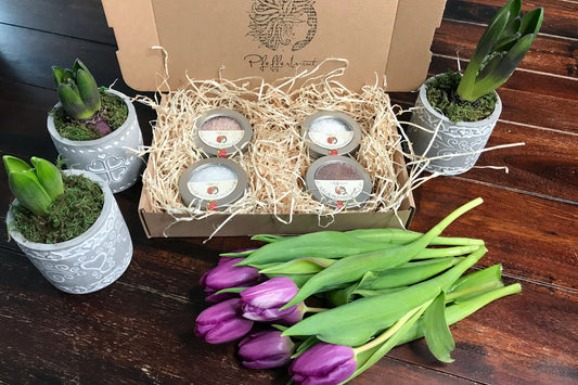 Geschenkset "4 Piccoli Sale"