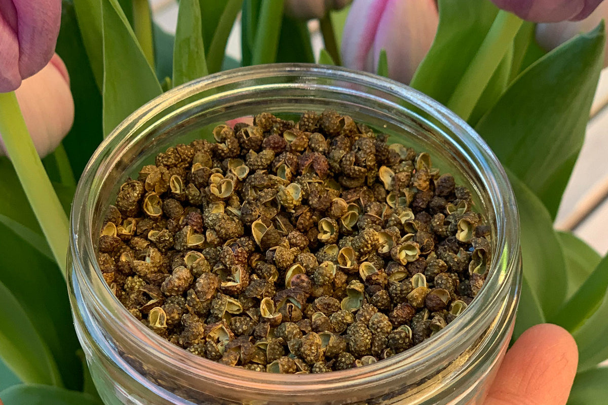 Grüner Szechuan-Pfeffer